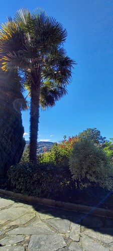 Terrace, Garden, Apartment 80m², mountain view, wifi, office