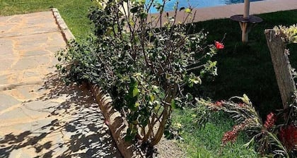 Spacious flat, very quiet and with gardens