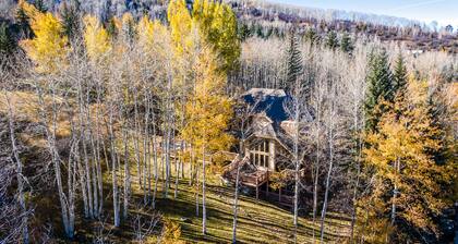 ALPINE MANSION, 9bd + LOFT BR SLEEPS 26 HUGE 8000 sq ft EXCLUSIVE BEAVER CREEK!