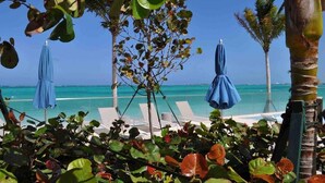 Vistes a la platja amb gandules i ombrel·les, palmeres i una vista clara de l'oceà.