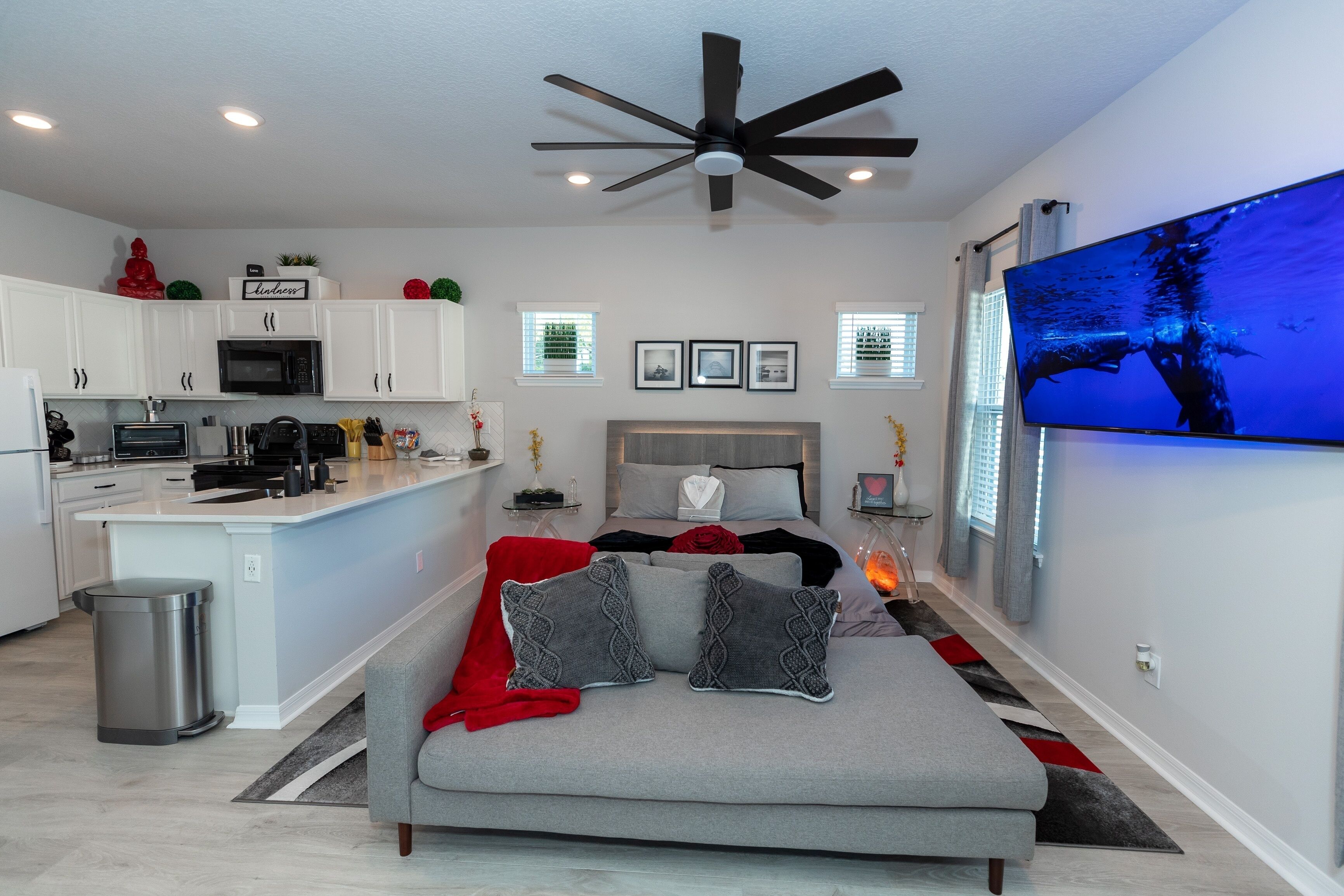 Televisio, takka, videopelejä, DVD-soitin