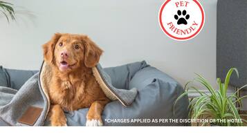 Animaux de compagnie acceptés