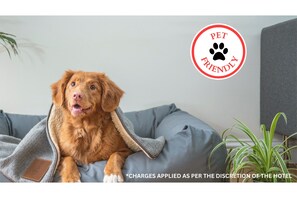 Animaux de compagnie acceptés
