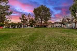 Property grounds - Private 1-Acre Retreat Pool, Spa, Pickleball & Ramada in Mesa (Mesa)