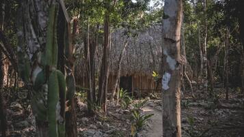 Una cabaña de madera rústica rodeada de árboles y un sendero pedregoso.