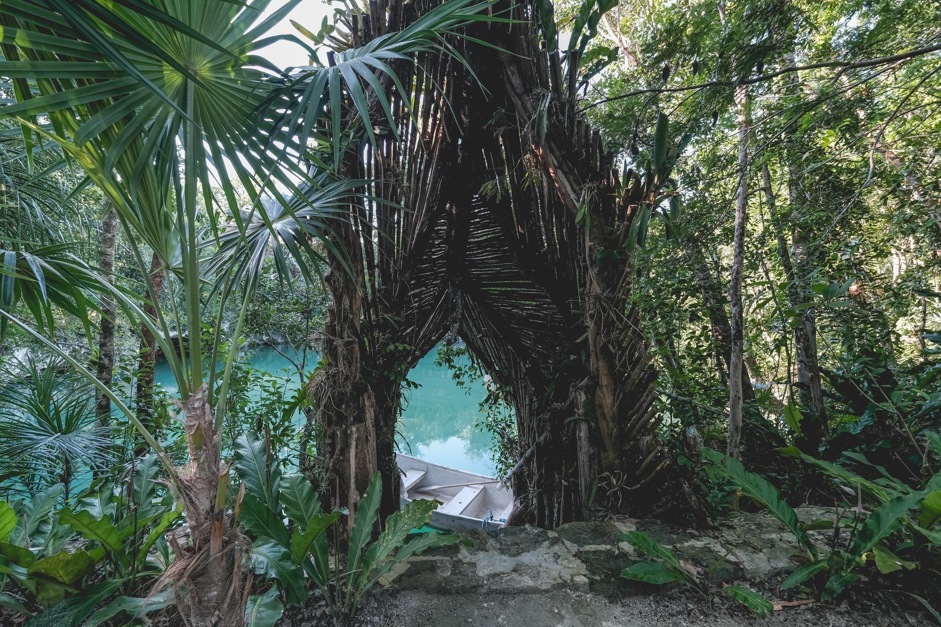 Un bateau est amarré dans un cadre naturel, entouré d’une végétation luxuriante, avec vue sur une étendue d’eau.