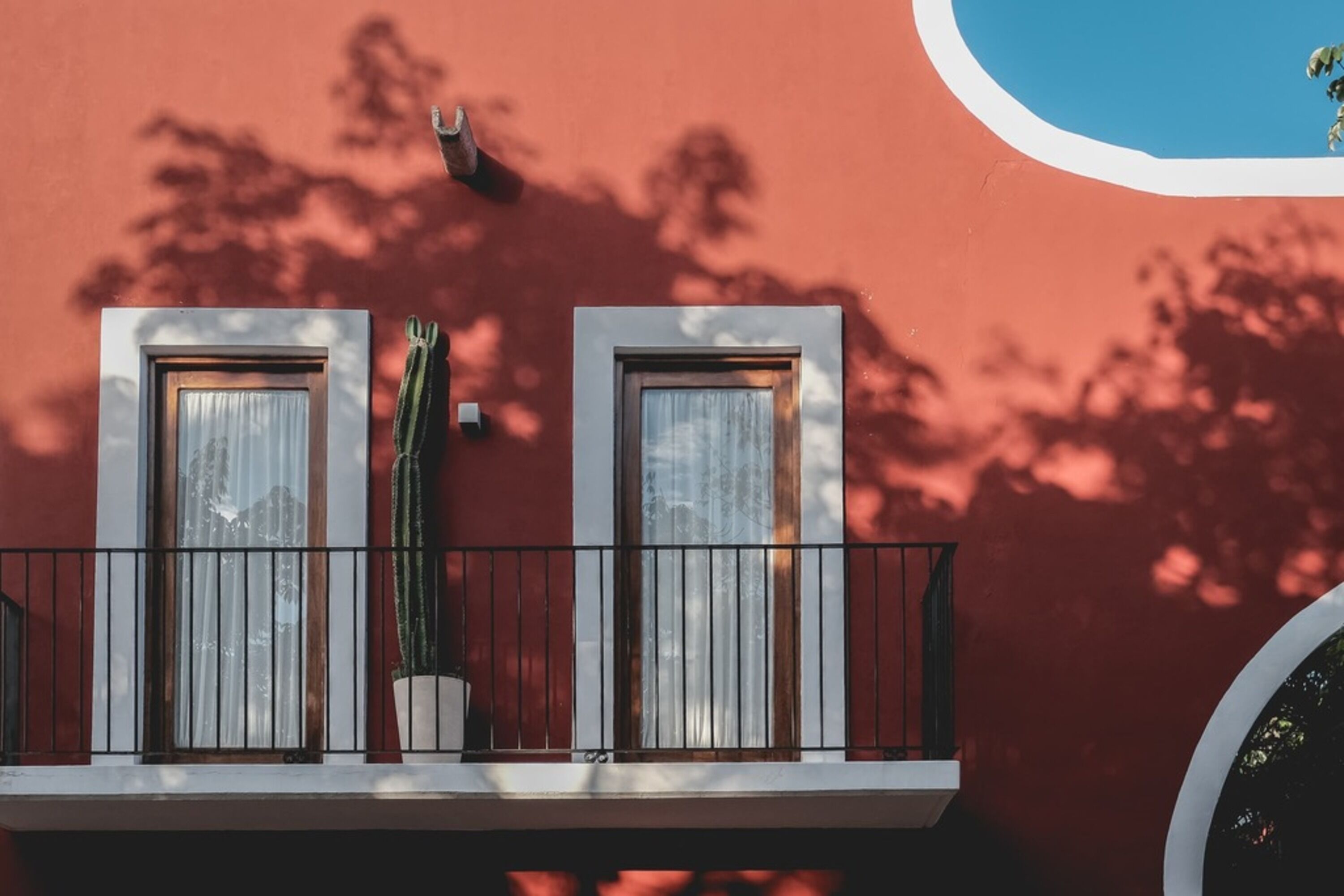 A balcony with two windows, a potted plant, and a railing.