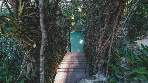 A wooden pathway leading to a turquoise door surrounded by dense foliage. - Wakax Hacienda - Cenote & Boutique Hotel - Small Luxury Hotels of the World (Tulum)