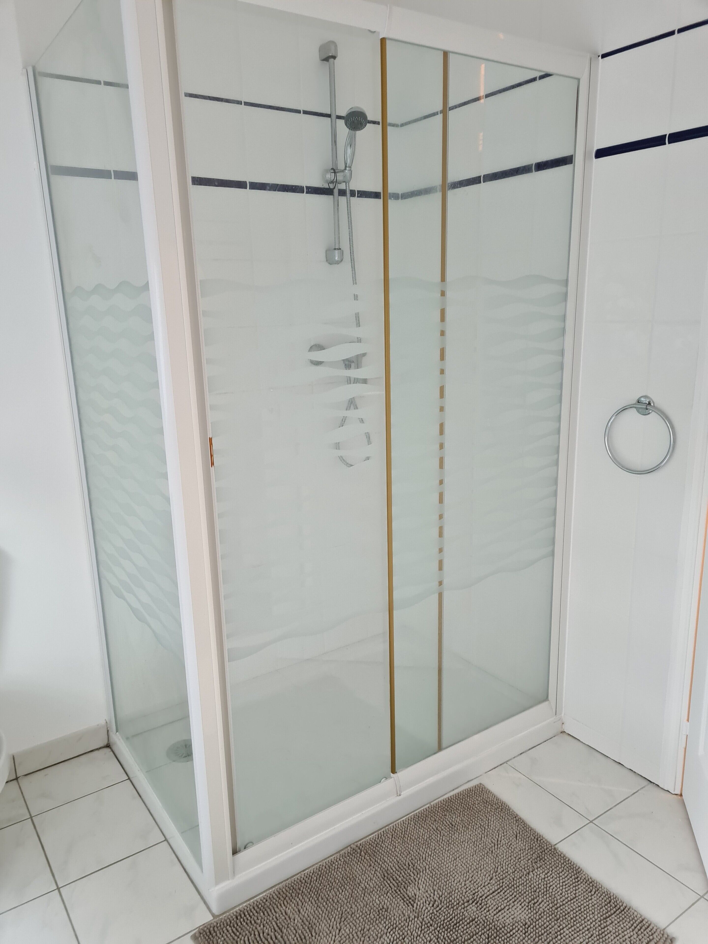 A glass-enclosed shower area with a showerhead, a towel rack, and a tiled floor.