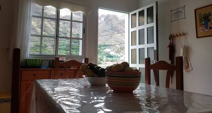 Camino Tamadaba houses (low house)