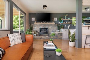 Smart TV, fireplace, books