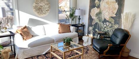 TV connectée, cheminée, livres