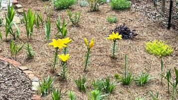 Jardines del alojamiento