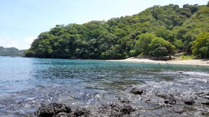 A beach with clear water, rocky foreground, and a forested hillside.