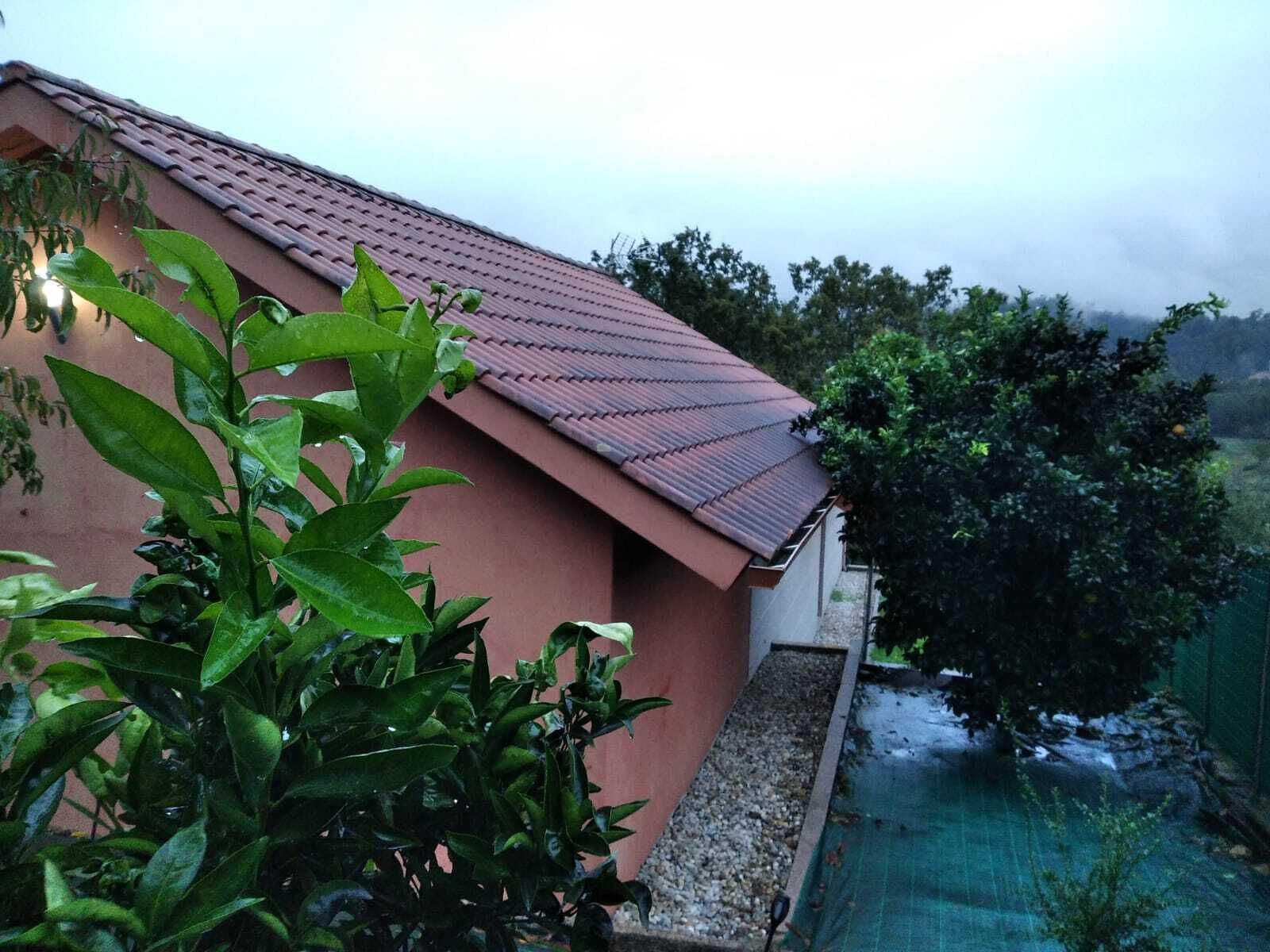 A house with a sloped roof and a small garden area with plants.