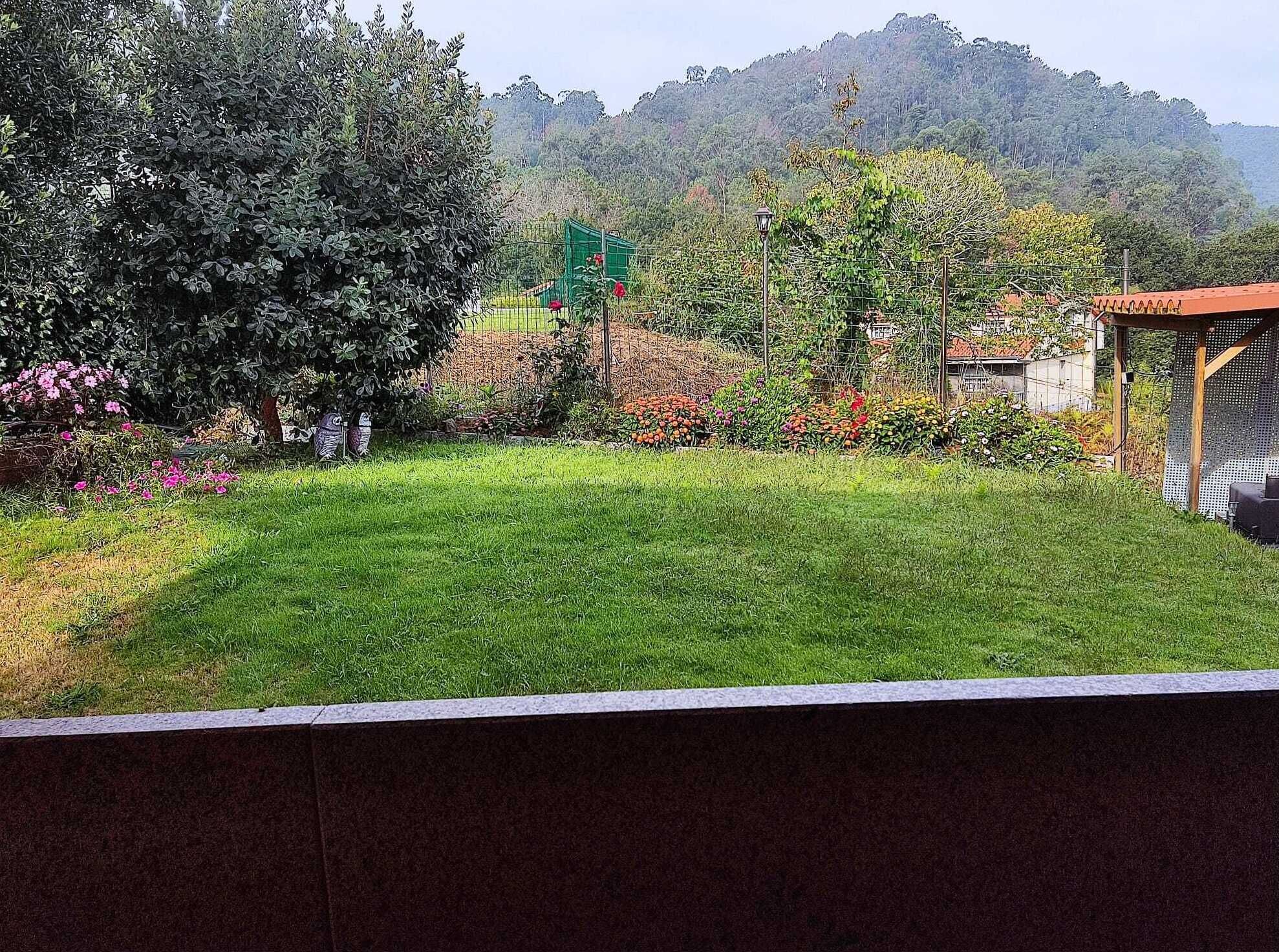 Un jardín con diversas plantas y un parque infantil.