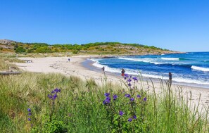 A beach with clear skies, waves, and purple flowers in the foreground. - Awesome home in Allinge (Allinge)