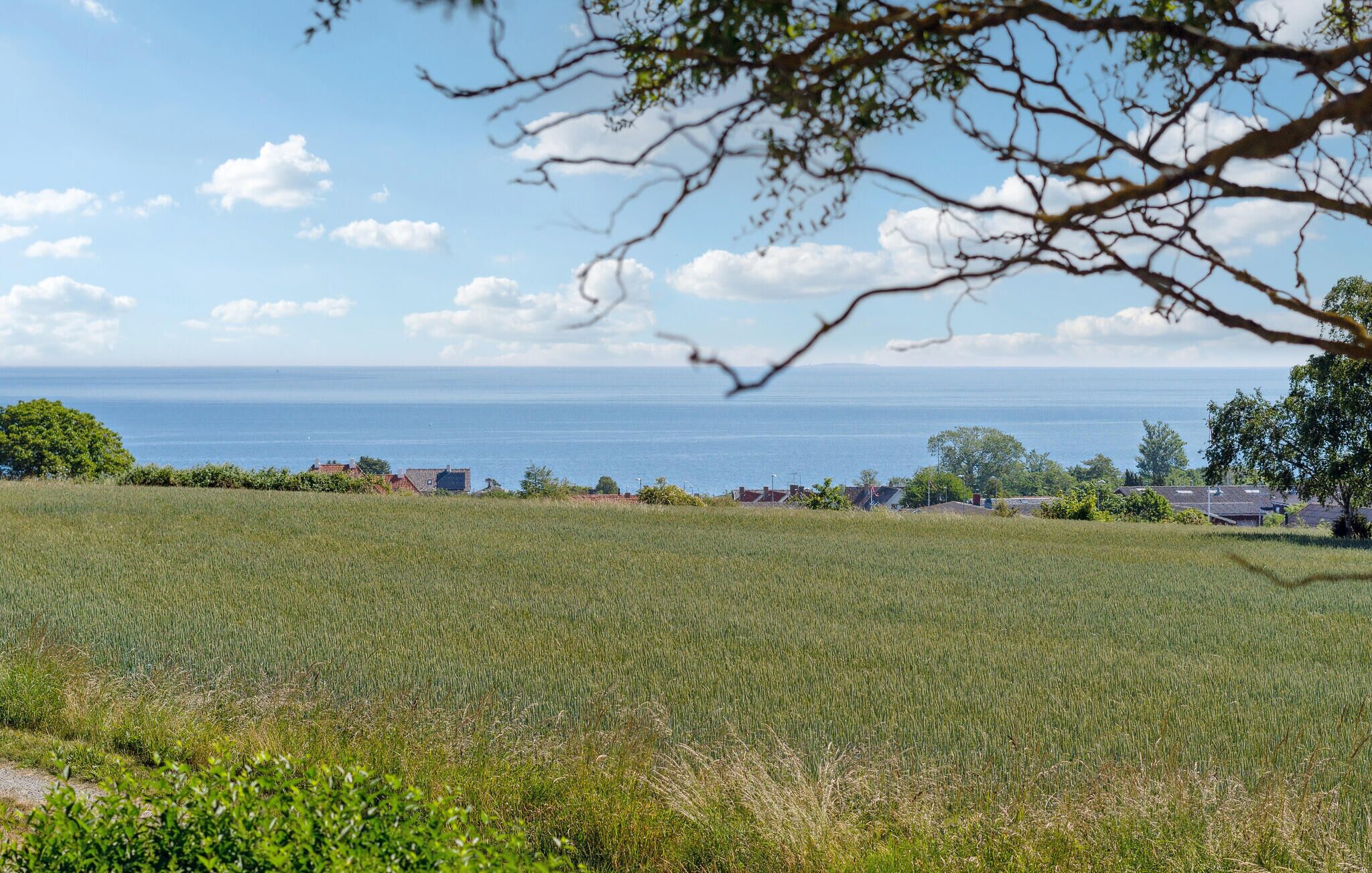 Een kustlandschap met een veld op de voorgrond en in de verte zee en gebouwen.