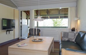 Televisión, chimenea y reproductor de DVD 