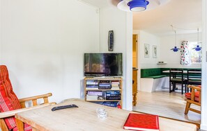 TV, fireplace, DVD player
