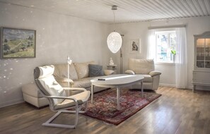Smart-TV, Kamin