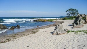 Una playa arenosa con afloramientos rocosos y un árbol.