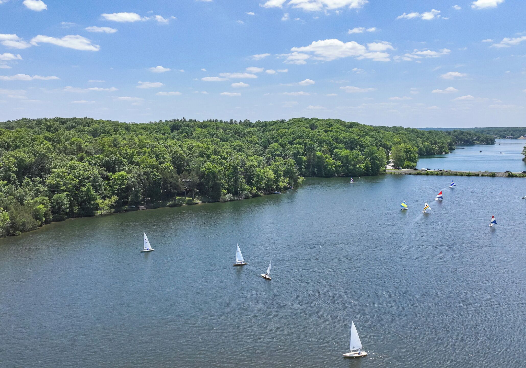 Um lago com barcos à vela e uma margem arborizada.