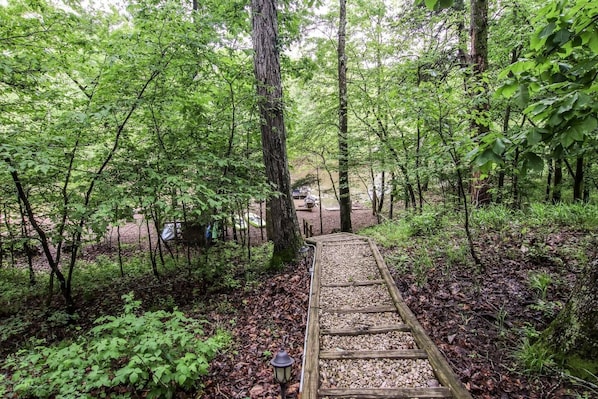 A forested path with a wooden walkway, surrounded by dense green foliage. - Lakefront A-Frame · Hot Tub · Paddle Pontoon Boat (Innsbrook)