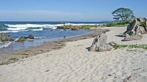 A sandy beach with rocky outcrops and a tree. - 2 bedroom awesome home in Allinge (Allinge)