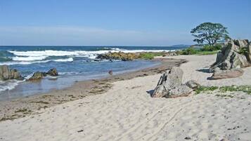 Nära stranden
