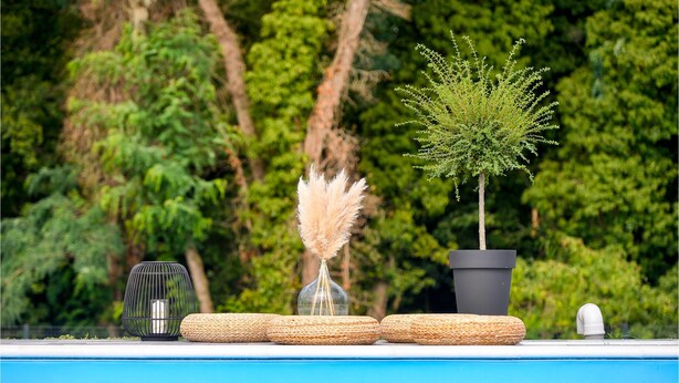 Escena junto a la piscina con un árbol pequeño, un jarrón con plumas de pampa y un adorno en un repisa.