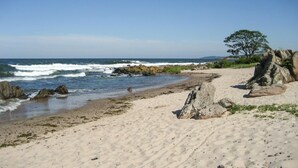 Una playa arenosa con afloramientos rocosos y un árbol a la derecha.