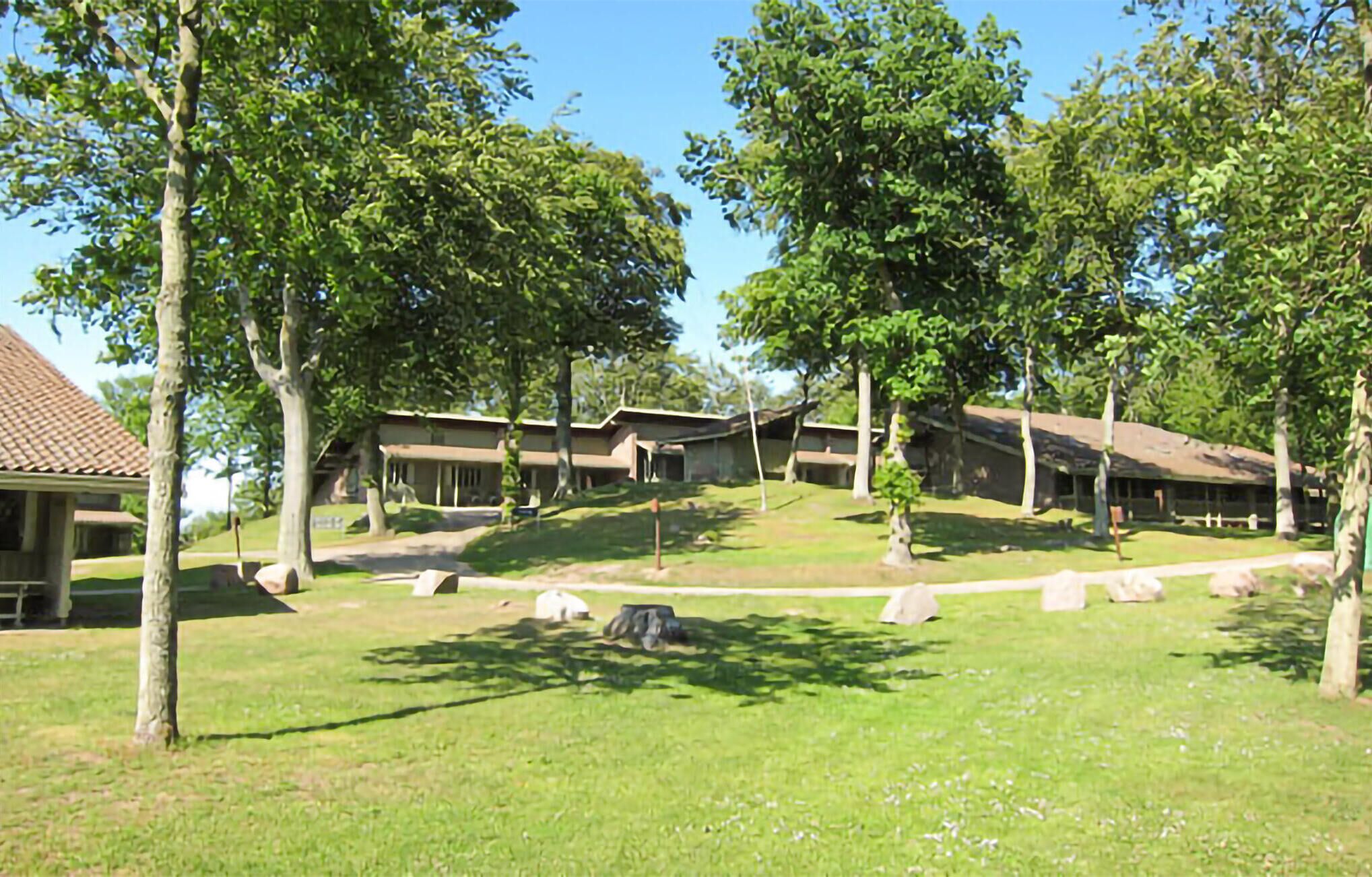 Un terrain de camping doté de plusieurs cabanes, d’arbres et d’une zone herbeuse.