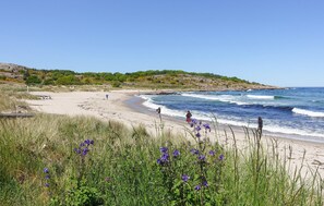 Playa en los alrededores 