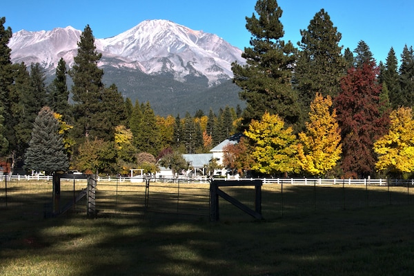 Postcard picture of Spring Creek Ranch! View of Mt Shasta from property.