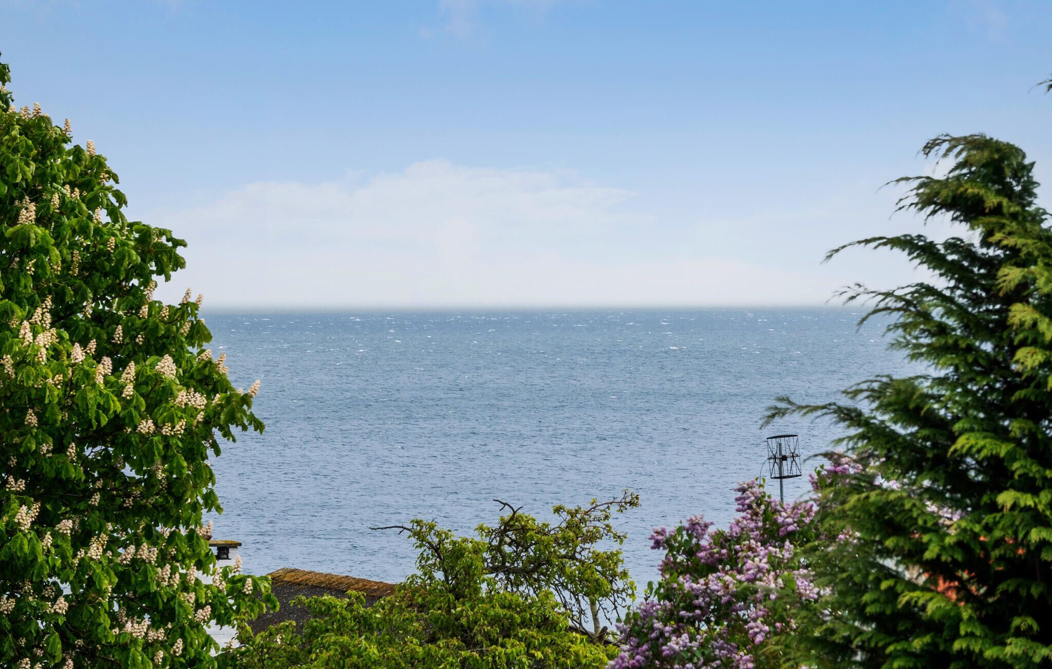 A coastal view with a clear sky, a body of water, and surrounding greenery.