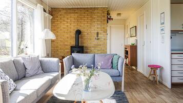 Una televisión, una chimenea, un reproductor de DVD