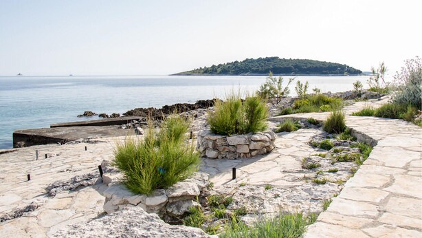 Une promenade en bord de mer, avec des marches en pierre et de la végétation, qui mène à une côte rocheuse.