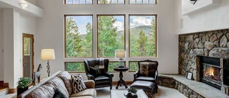 Smart TV, fireplace, books, offices