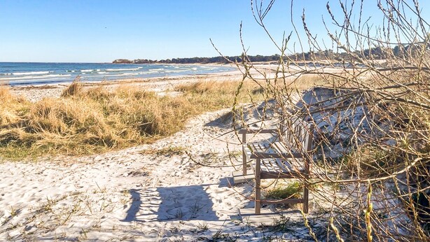 En sti langs en sandstrand fører til en bænk, med uhindret udsigt over havet og fjerne træer.