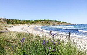 A beach with clear skies, waves, and purple flowers in the foreground. - Lovely home in Allinge with WiFi (Allinge)