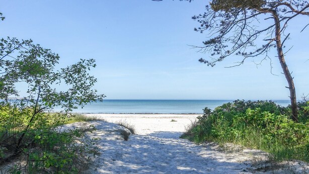 Un sentier de sable qui longe la plage et mène à l’océan, bordé de verdure.