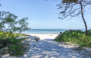 Uma trilha de areia que leva ao oceano, rodeada por vegetação.