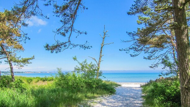 Un sentiero sabbioso che conduce a una spiaggia con acque blu cristalline e una costa in lontananza.