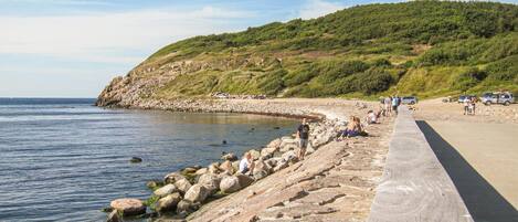 بالقرب من الشاطئ