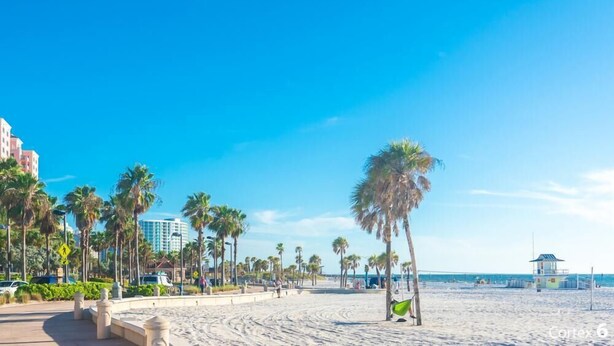 Een strand met palmbomen, een uitkijktoren van de badmeester en een voetgangersoversteekplaats-bord.