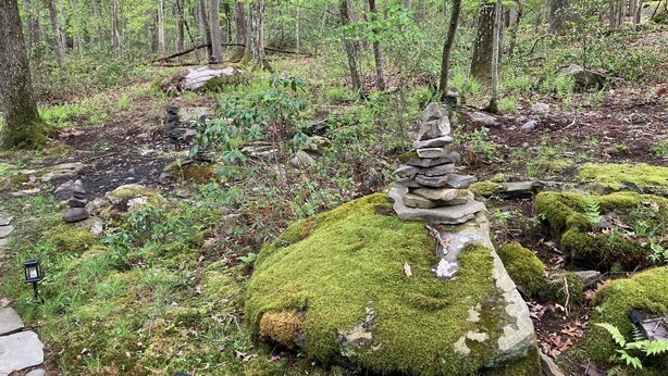 Metsä, jonka keskellä on sammaleen peittämä kivi ja kivikasa.