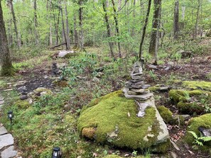 A forest with a moss-covered rock and a stack of stones in the center.