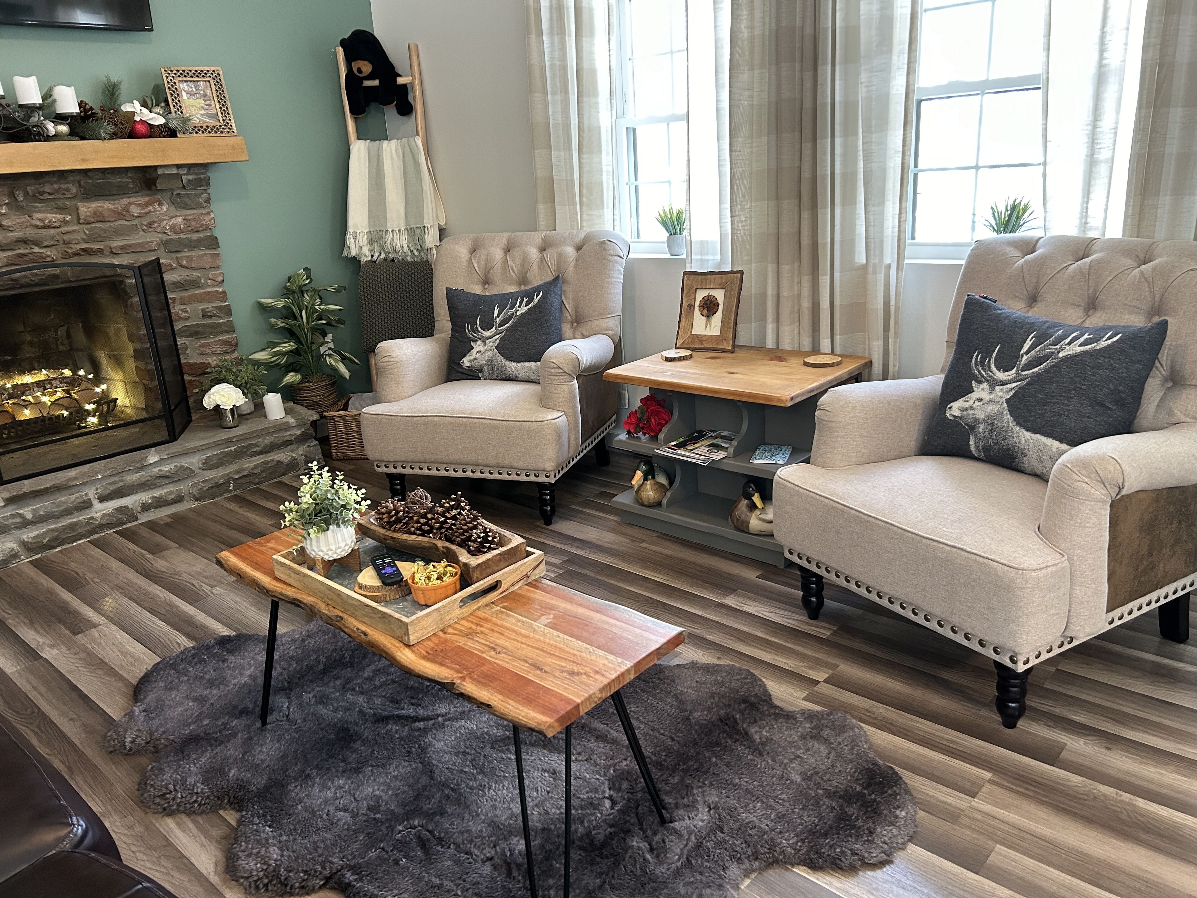 Smart TV, fireplace, books