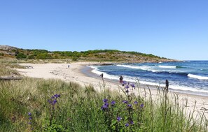 Ein Strand mit blauem Himmel, Wellen und violetten Blumen im Vordergrund.